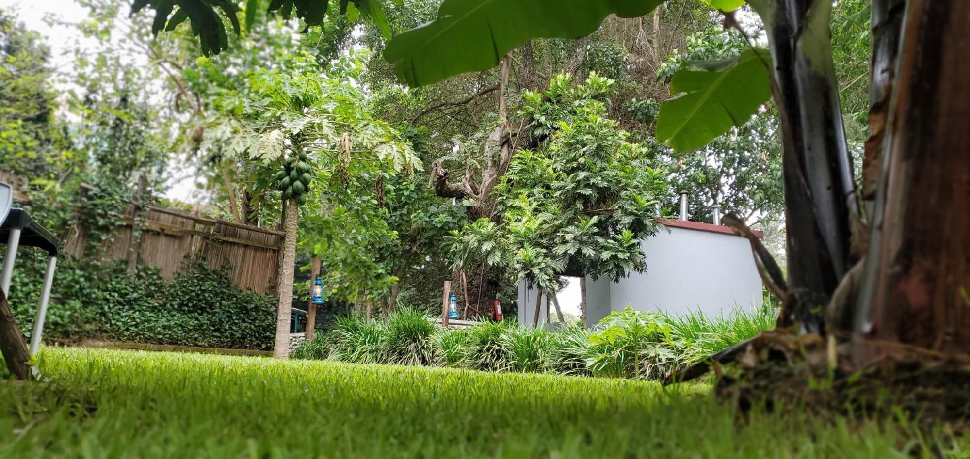 Kizumba House Hostel Arusha Kültér fotó